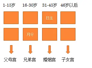 八字命理排盘基础知识_八字命理详解_八字命理排盘系统