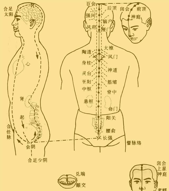 古籍与古籍保护_面相学古籍_塌鼻子面相分析面相