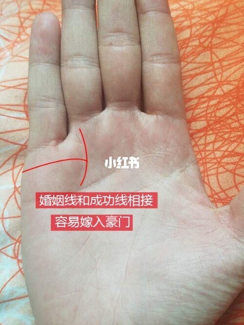 婚姻手相男看哪只手_图解手相婚姻男人看女人_看手相面相准确吗男人婚姻