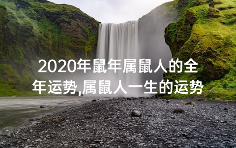 属鼠今年婚姻爱情运势_鼠人今年爱情运势_鼠运势婚姻属爱情今年运势如何