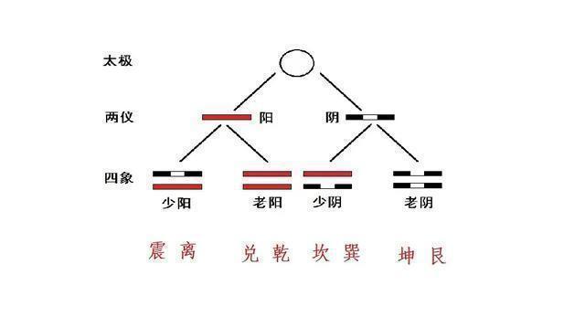 易经自学基础——爻(重点知识请做笔记)|六爻|周易|乾卦|坤卦|爻位