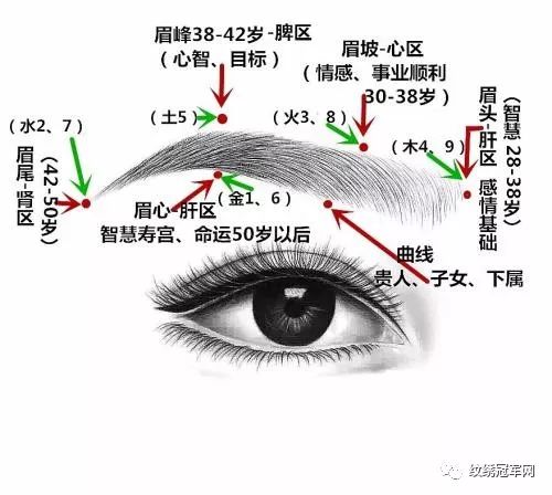 上海最著名的风水大师_上海风水开运眉_上海风水骗局