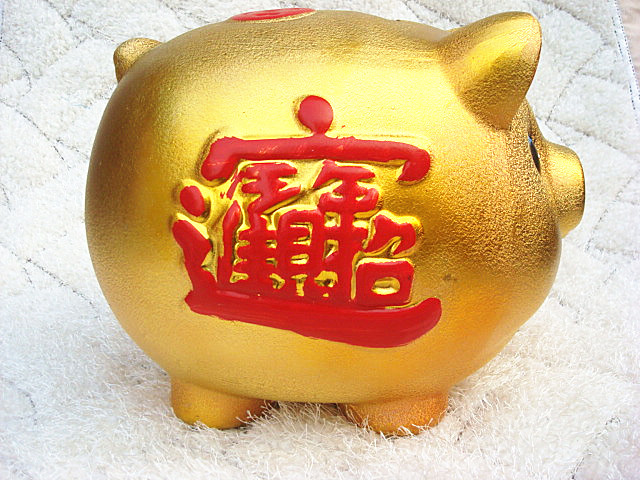 猪是财富的象征，这样一只带铜钱的猪来到你家