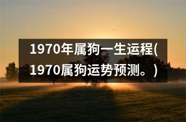 属牛2020年事业运怎么样_2021属牛事业运势_2020年属牛的事业运势